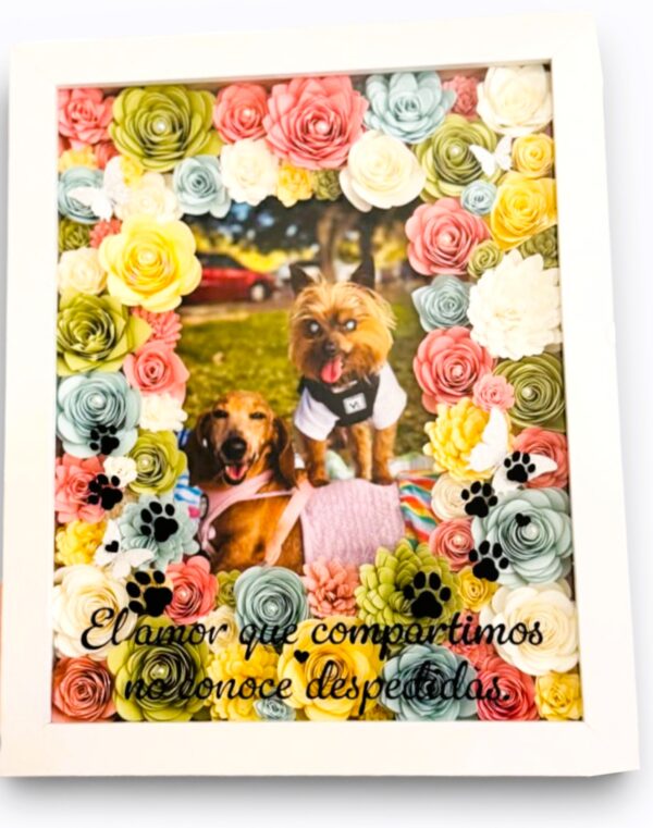 Cuadros 3D Perzonalizados (15x20)